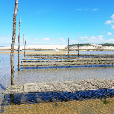 village vacances bretagne hauteville sur mer decouverte