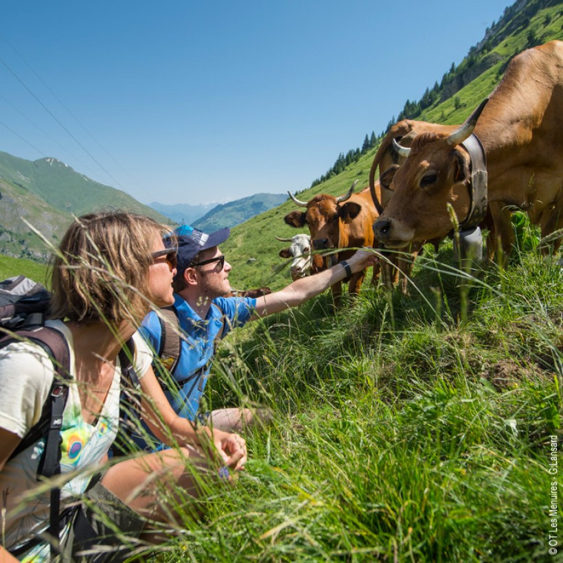 Visiting the French Alps