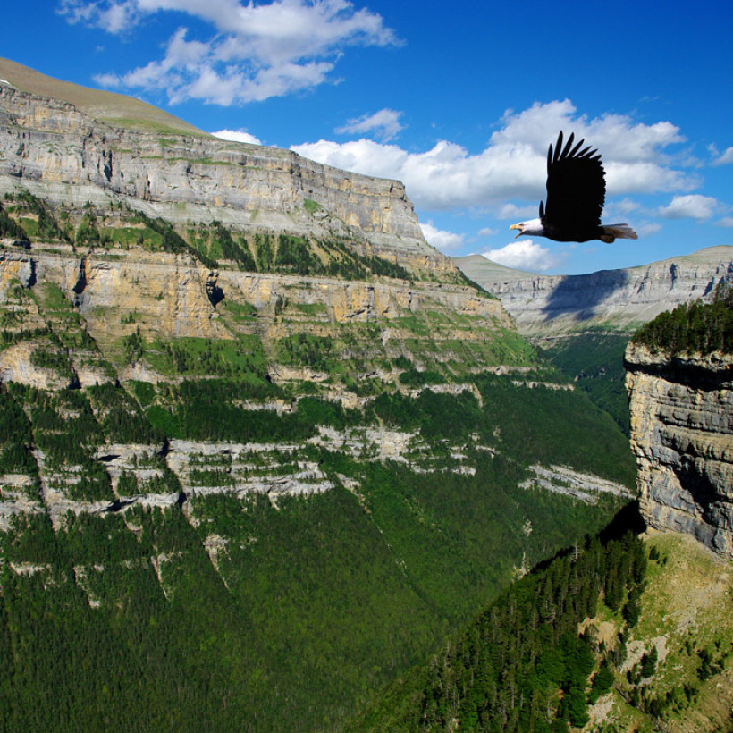 Location de vacances dans les Pyrénées