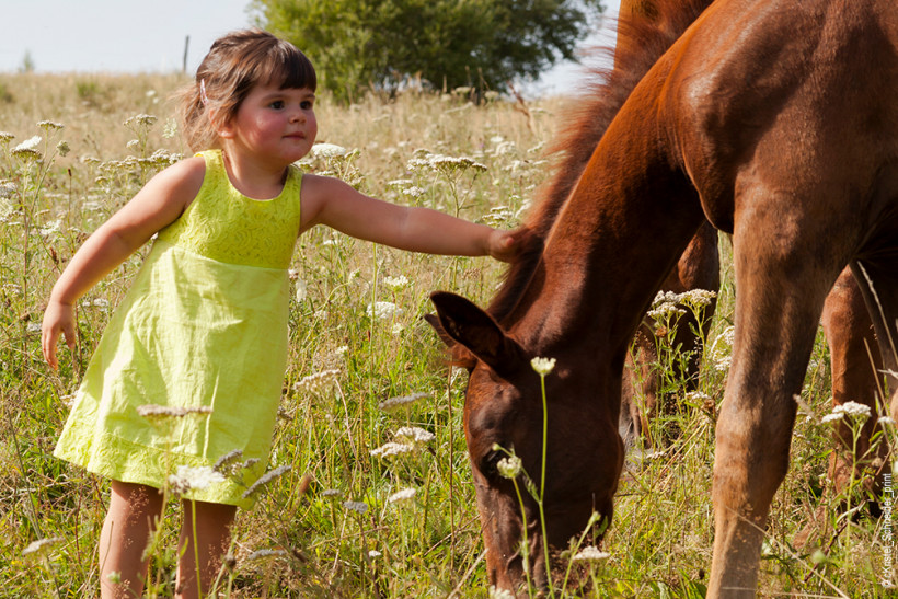 Se ressourcer en famille à la campagne