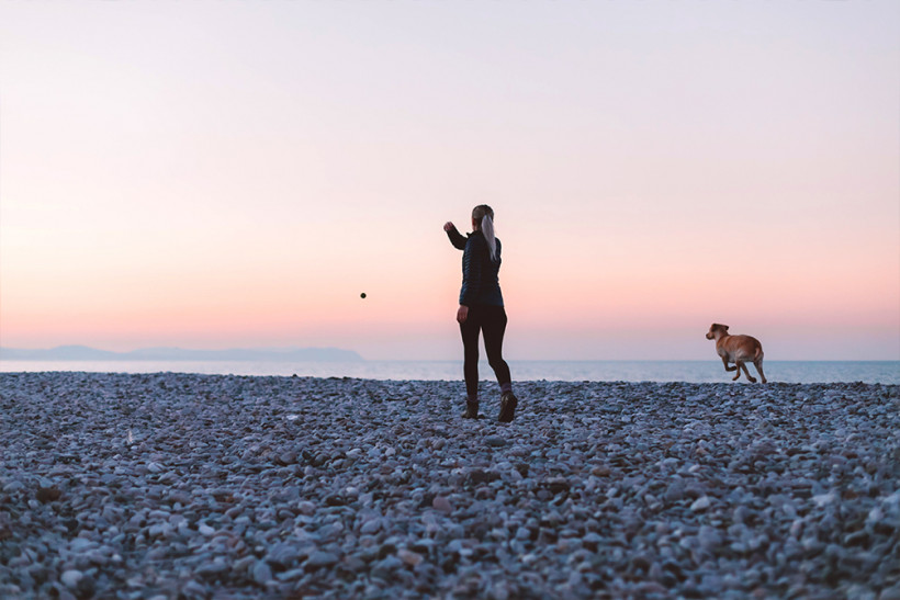 Dog friendly holidays in France