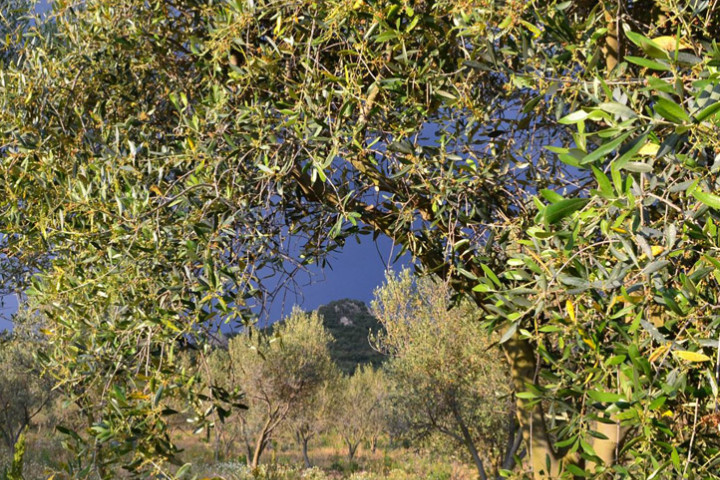 Azureva La Londe-les-Maures