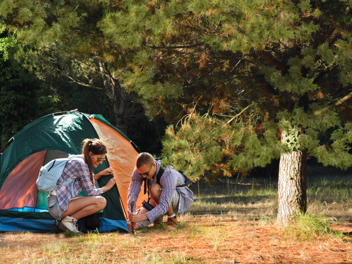 camping charente maritime ile d oleron