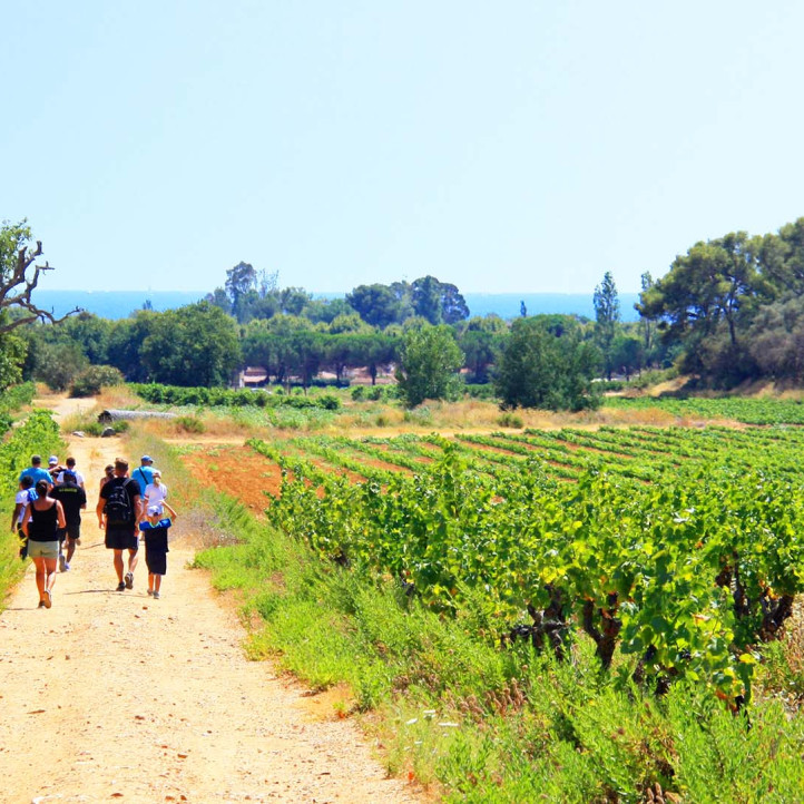 village vacances la londe les maure azureva vignes provence