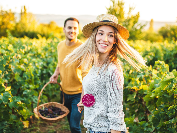 destination la londe les maures village vacances theme vins sud