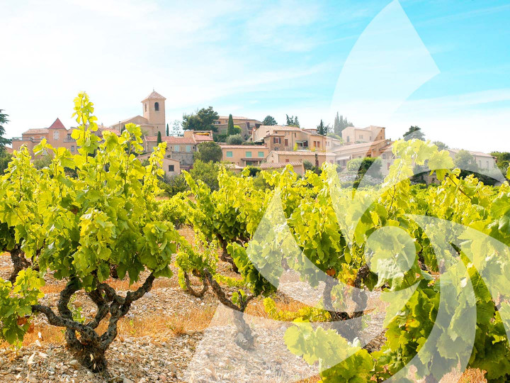 azureva la londe les maures paca vacances