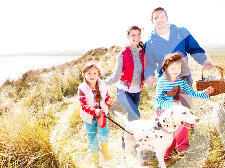 azureva longeville sur mer vacances vendee avec son chien