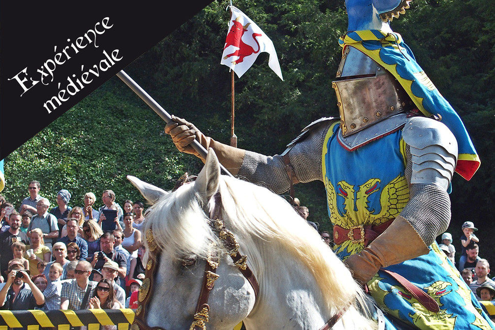 village vacances medieval murol