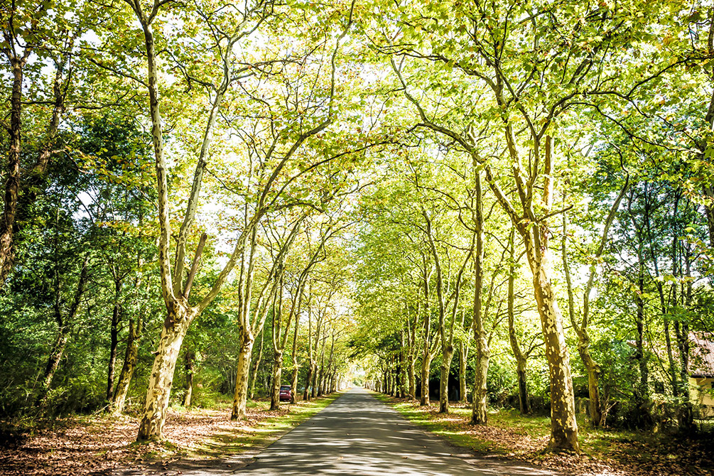 azureva vacances nature domaine forge camping