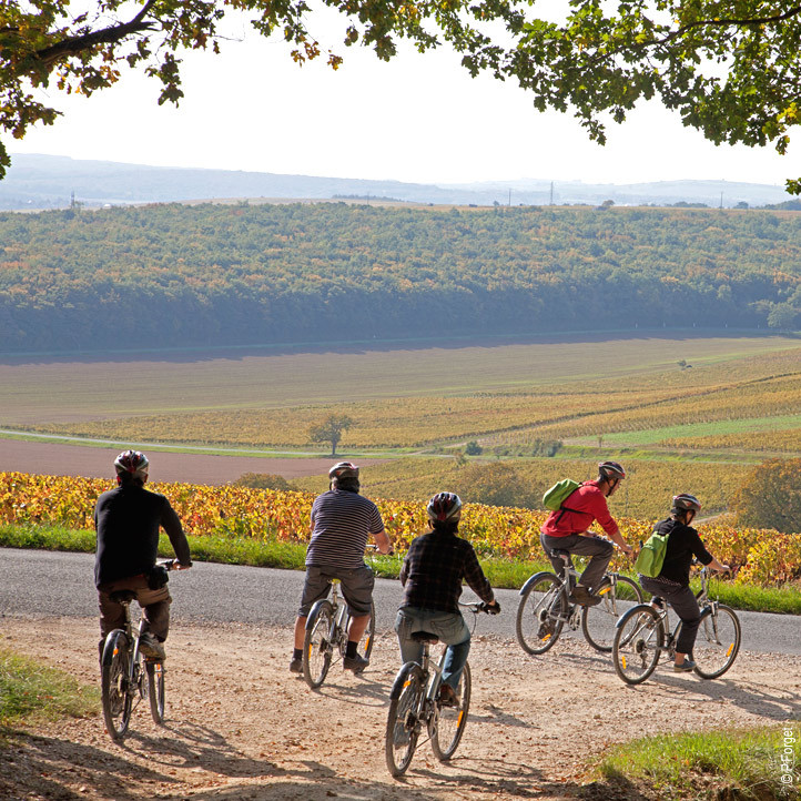 vacances velo sainte montaine en sologne 2