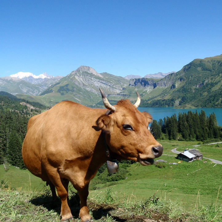 vacances decouverte areches
