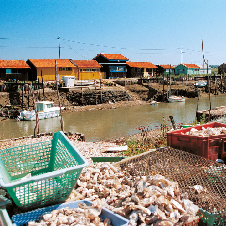 village vacances charente maritime ronce les bains marennes oleron