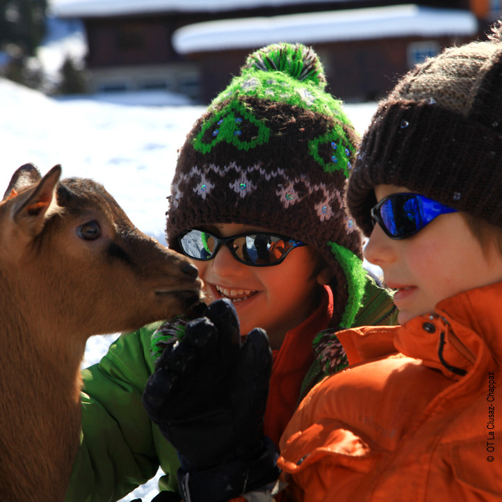 sejour vacances famille la clusaz terroir
