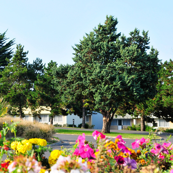 village vacances nature hauteville sur mer