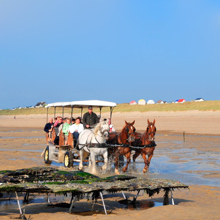 village vacances bretagne hauteville sur mer decouverte