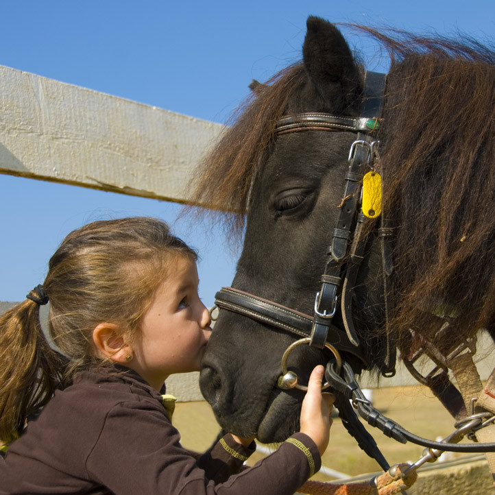 village vacances enfants bussang 2