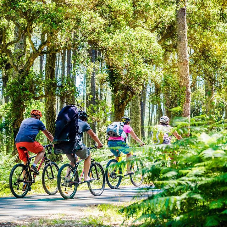 les landes activite voyage hotel du parc hossegor velo foret