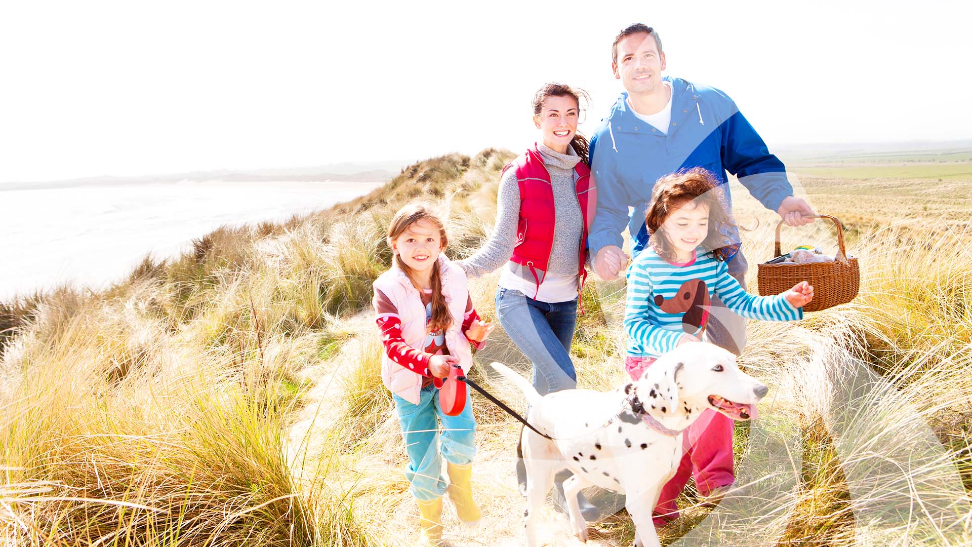 azureva longeville sur mer vacances vendee avec son chien