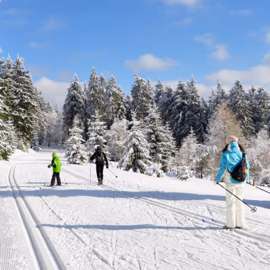 Famille pratiquant le ski de fond sur les pistes enneigées des Vosges à Bussang