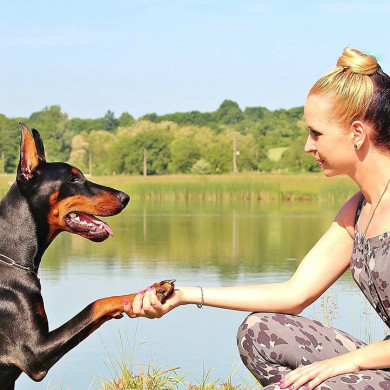 les instants edu'canins a azureva longeville vendee ocean
