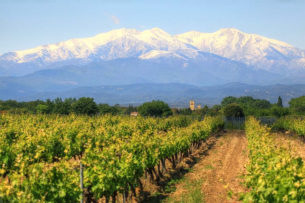 excursion canigou village vacances argeles sur mer  