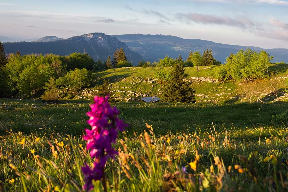 rando du mont d'or au village vacances azureva metabief dans le jura 