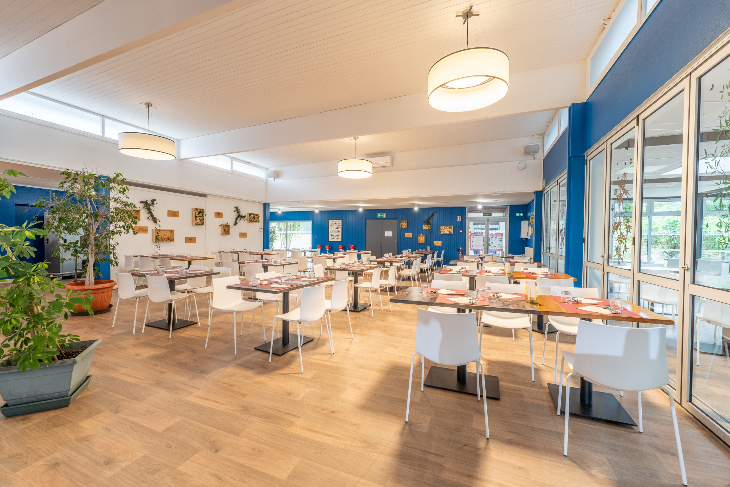 Salle de restaurant lumineuse avec tables dressées, chaises blanches et décoration soignée, baignée de lumière naturelle.