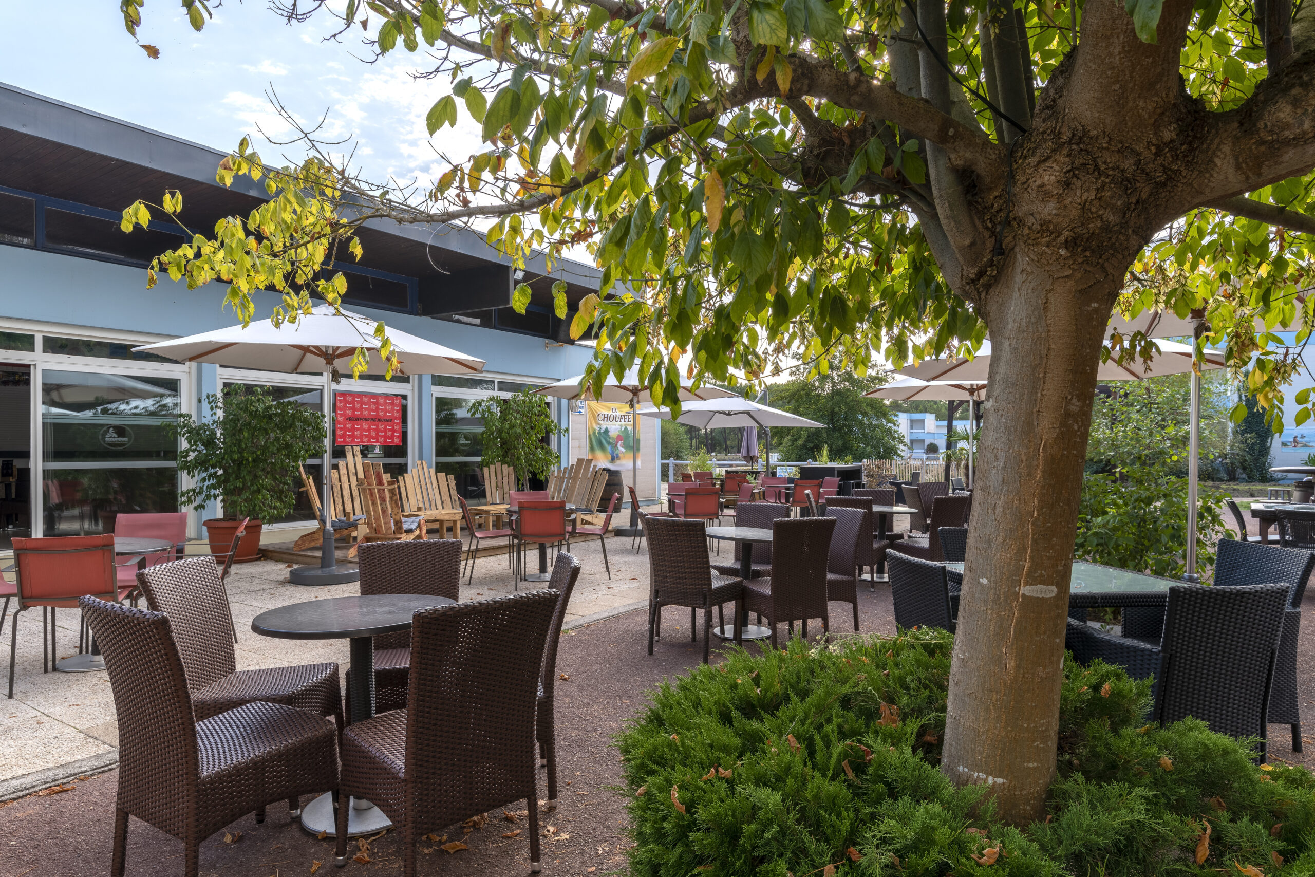 Terrasse extérieure avec tables et chaises en rotin, parasols, arbustes et feuillage d'arbre, ambiance conviviale