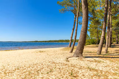 vos vacances dans les Landes a la plage