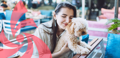 animal de compagnie au restaurant 