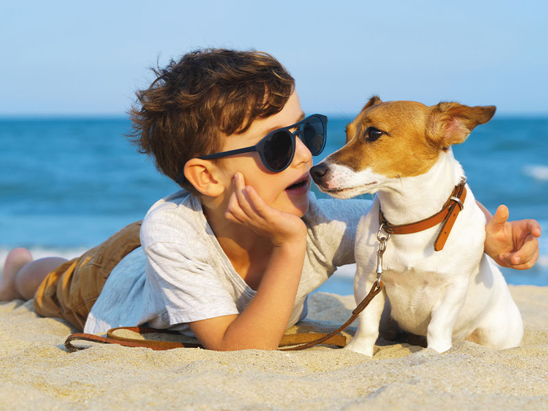 calendrier-vacances-scolaires-en-france---avec-son-chien